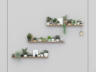 Bonsai and Potted Plants Arranged On Tiered Wall Shelves With Decorative Frames And Ornaments 3d model