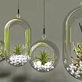 Modern Hanging Glass Planters with Succulent Plants and Small Pebbles for Indoor Decor