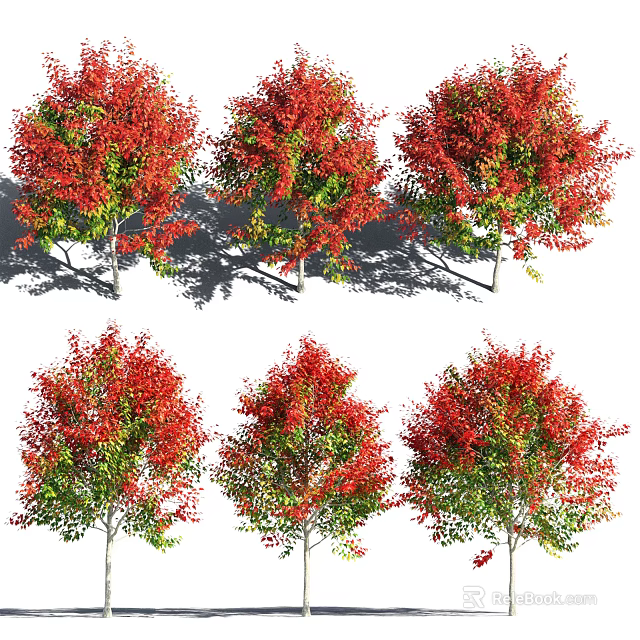 Multiple Vibrant Arbor Trees With Red And Green Leaves Natural Foliage 3d model 