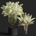 Ribbed Glass Vase With White Flowers On Black Base And Pink Foliage In Slender Vase