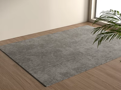 Gray Square Rug on Wooden Floor with Green Plant White Wall and Window 3d model