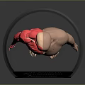3D Human Body Model Displaying Muscular Organs And Hairless Skin Structure