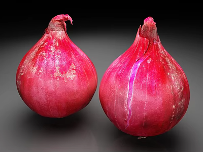 Two Fresh Vibrant Red Onions With Smooth Skin And Natural Texture 3d model