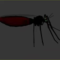 Realistic 3D Insect Model With Red Body Green Eyes And Long Legs On Gray Background