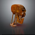 Abstract Creature Like Red Sculpture With Mechanical Head Leg Like Supports And Reflective Base