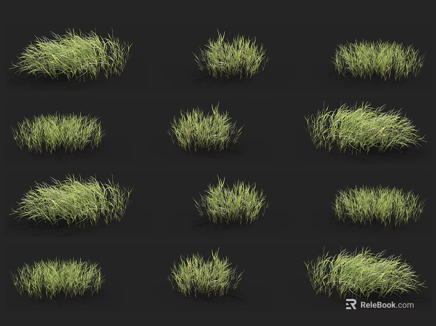 Multiple Clusters of Green Grass Arranged on Black Background with Various Shapes 3d model 