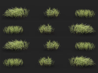 Multiple Clusters of Green Grass Arranged on Black Background with Various Shapes 3d model