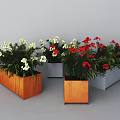Bonsai Potted Plants With White Red Flowers Green Leaves In Orange Wooden And Gray Planters