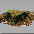 Natural Wooden Tree Stump Covered With Green Moss Surrounded By Fallen Leaves And Natural Ground
