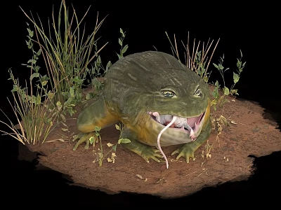 Green Reptile with Open Mouth in Natural Grass and Dirt Setting on Black Background 3d model