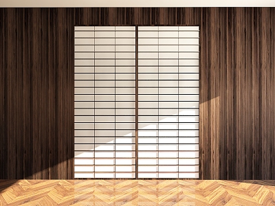 Modern sliding door model