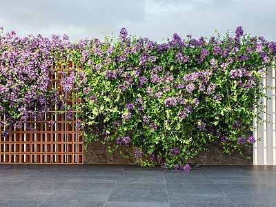 Lush Purple Flower Vines Growing On Wooden Lattice And Stone Wall With Slate Floor 3d model