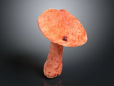 Fresh Orange Vegetable Mushroom with Smooth Cap and Firm Stem on Dark Background 3d model