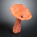 Fresh Orange Vegetable Mushroom with Smooth Cap and Firm Stem on Dark Background 3d model