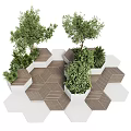 Modern Hexagonal Tree Planters with Various Green Plants Wooden White Structures and Paving Design