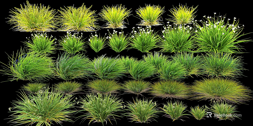 Diverse Green Grass Varieties With Lush Foliage And Natural Forms For Garden Decor 3d model 