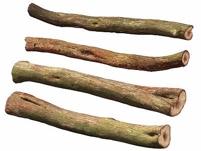 Natural Rustic Wood Branches With Textured Bark And Various Lengths For Crafts 3d model