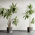 Lush Green Leafy Potted Plants in Gray Textured Pots Against White Wall and Gray Floor