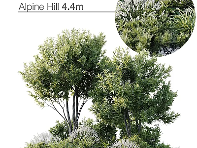Lush Green Alpine Hill 4.4m Tree With Dense Foliage And Vibrant Branches 3d model
