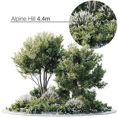 Lush Green Alpine Hill 4.4m Tree With Dense Foliage And Vibrant Branches 3d model