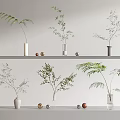 Stylish Vases With Green Ferns And Branches On White Shelves With Small Gold Brown Balls