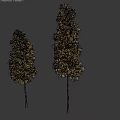 Two Tall Trees With Vibrant Yellow Leaves Against Dark Background