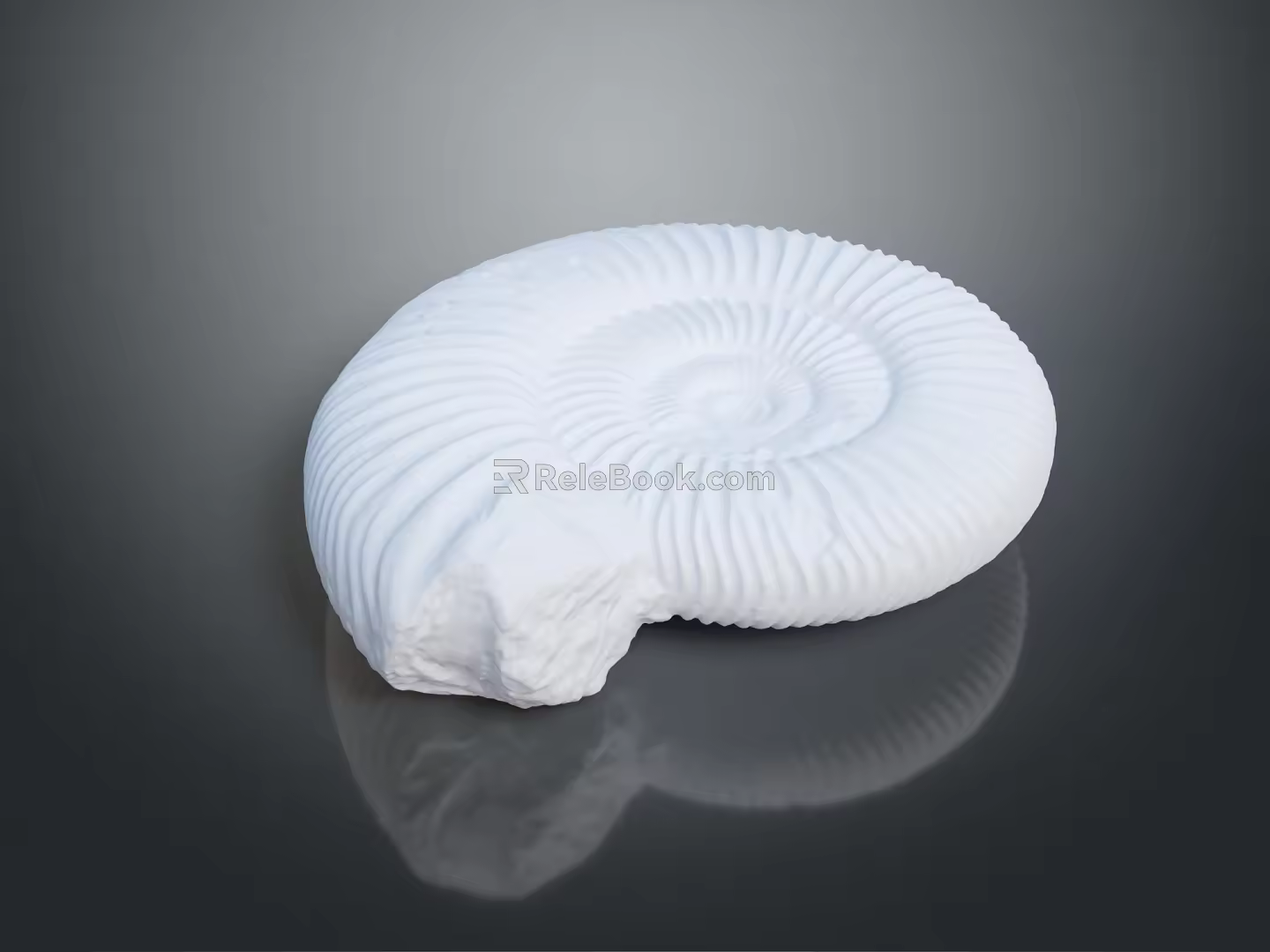 modern fossil chrysanthemum ancient fossil biological fossil 3d model