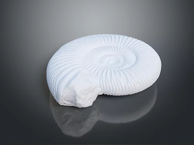modern fossil chrysanthemum ancient fossil biological fossil 3d model