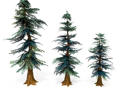 Three Different Sizes of Evergreen Pine Trees for Natural Landscape Decoration 3d model