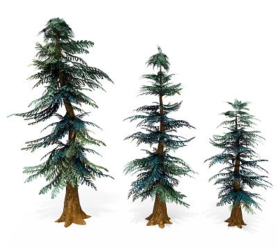 Three Different Sizes of Evergreen Pine Trees for Natural Landscape Decoration 3d model