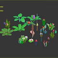 Diverse Plants With Green Leaves Purple Red Small White Flowers Apple And Shovel