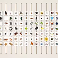 Wall Display With Arranged Insect Butterfly And Plant Specimens On White Cards