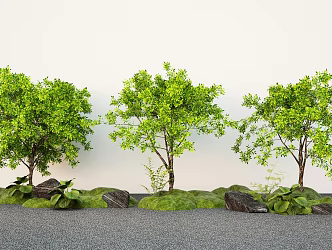 Garden plant green plant garden landscape tree courtyard tree 3d model