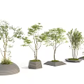Modern Tree Planters Design With Various Trees Green Foliage And Contemporary Shapes