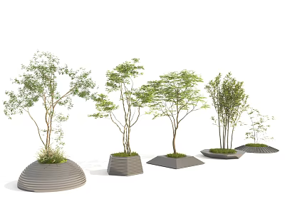 Modern Tree Planters Design With Various Trees Green Foliage And Contemporary Shapes 3d model