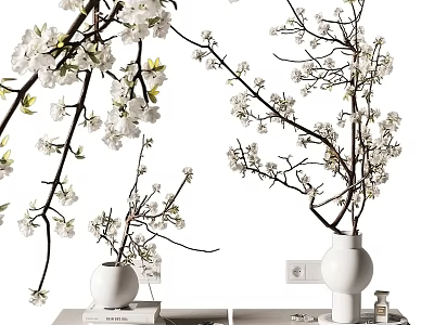 Tabletop Decorative Ornament Set With White Flower Branches Ceramic Vases And Books 3d model