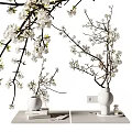 Tabletop Decorative Ornament Set With White Flower Branches Ceramic Vases And Books