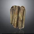 Fossilized Molar Teeth With Brown Beige Textured Surface And Multiple Roots