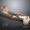 Gray Black Reptile Lizard Resting On Natural Driftwood With Gray Background