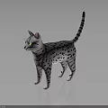 Gray White Spotted Cat With Black Stripes Striped Tail And Green Eyes On Black Surface