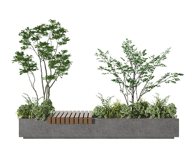 modern plants model