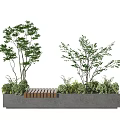 Lush Green Plants With Trees Shrubs And Wooden Bench In Concrete Planter