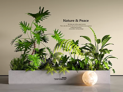 Nature Peace Themed Garden Decor Featuring Various Green Plants Ferns And Glowing Lamp 3d model