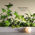 Nature Peace Themed Garden Decor Featuring Various Green Plants Ferns And Glowing Lamp