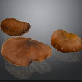 Fresh Orange Edible Mushrooms on Dark Background with Vibrant Color and Natural Texture