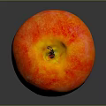 Fresh Juicy Red and Orange Apple with Brown Stem on Gray Background