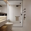 Modern Bathroom Interior With Glass Shower Enclosure Vanity Mirror Toilet And Towel Rack