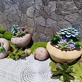 Succulent Plant Combinations In Terracotta Planters With Stone Wall Background And Green Foliage