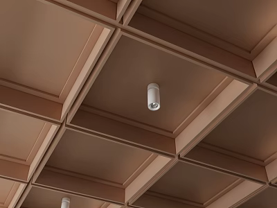 Brown Wooden Grid Ceiling Design With Recessed Lights And Decorative Frames 3d model