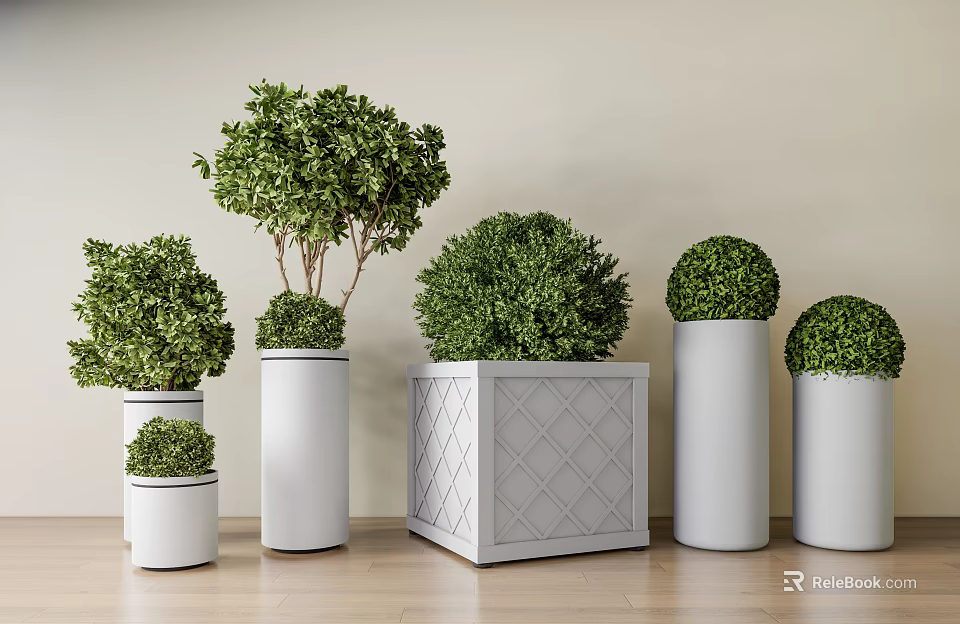 Bonsai Plants In Various Planters With White Cylindrical And Gray Square Pots On Wooden Floor 3d model 